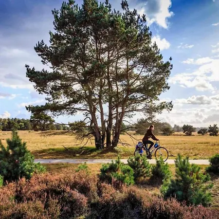 In Near Veluwemeer Lake, Cleaning Included